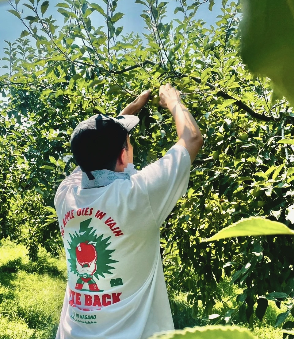Farmer in the orchard